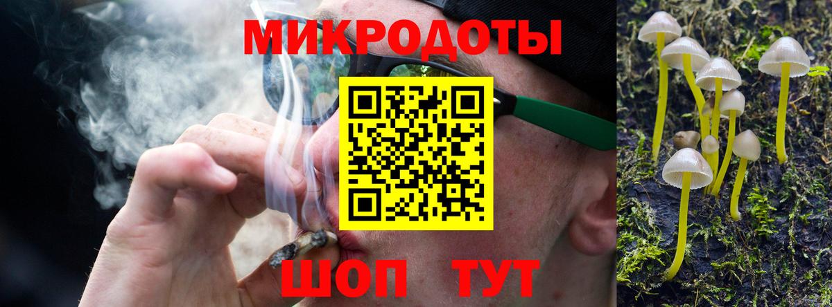 Галлюциногенные грибы Psilocybe Среднеуральск