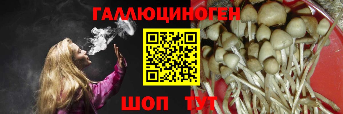 Псилоцибиновые грибы Cubensis  Вход с VPN  Псилоцибиновые грибы мухоморы  Среднеуральск 